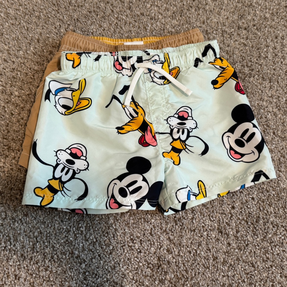Zara Tan and H&M Mint Swim Shorts (bundle)